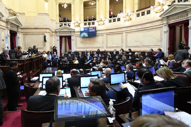 El Senado aprobó el jueves, entre otros temas, la actualización de la tabla del monotributo