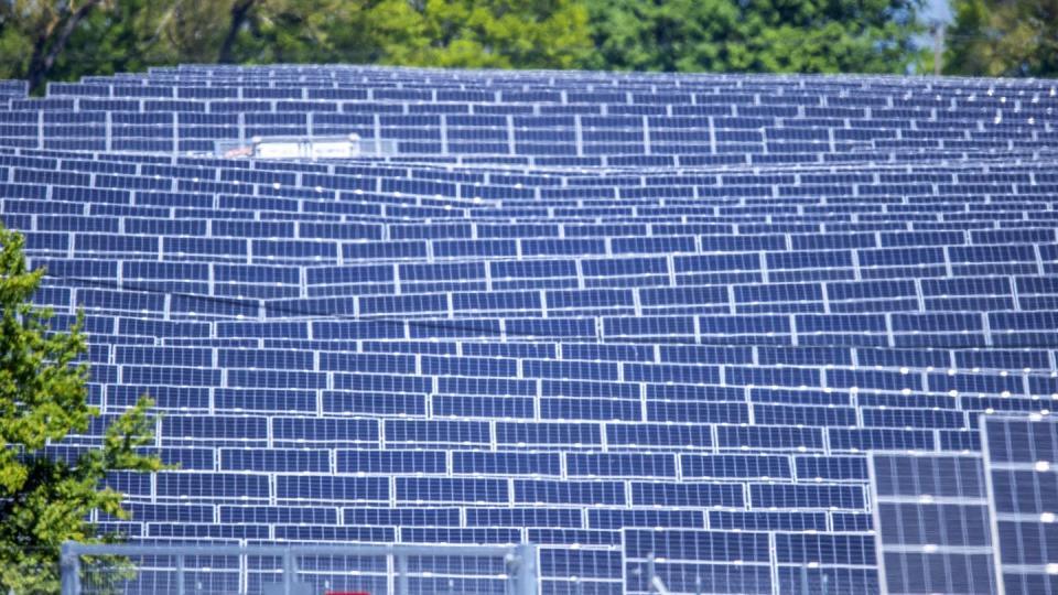 Ökostrom aus Wind, Sonne und anderen erneuerbaren Energiequellen hat im ersten Halbjahr nach Branchenangaben 43 Prozent des Bruttostromverbrauchs in Deutschland gedeckt - und damit weniger als im Vorjahreszeitraum.