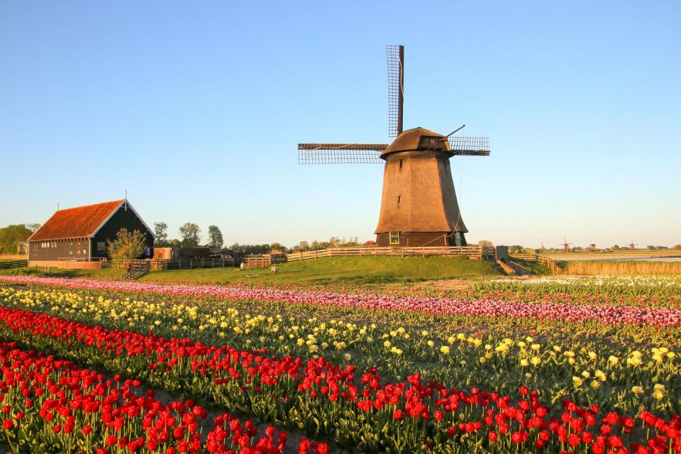 3) A Dutch and Belgian waterways cruise