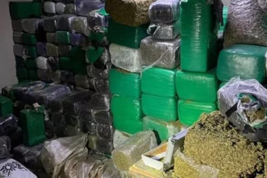 Decomisan casi dos toneladas de marihuana en Tijuana