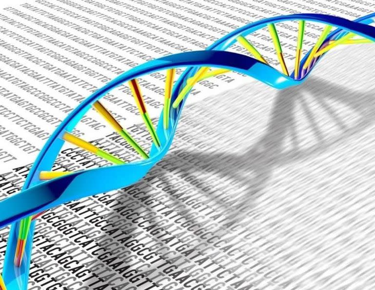 El ADN, con su estructura de doble hélice con adenina, timina, citosina y guanina, puede usarse para codificar información con muchísima densidad