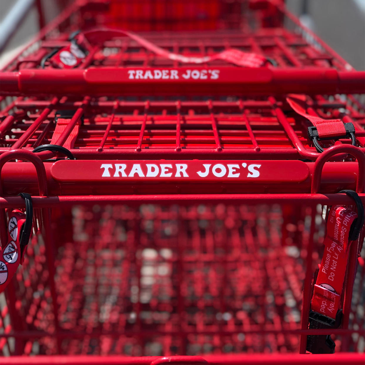 trader joes shopping carts