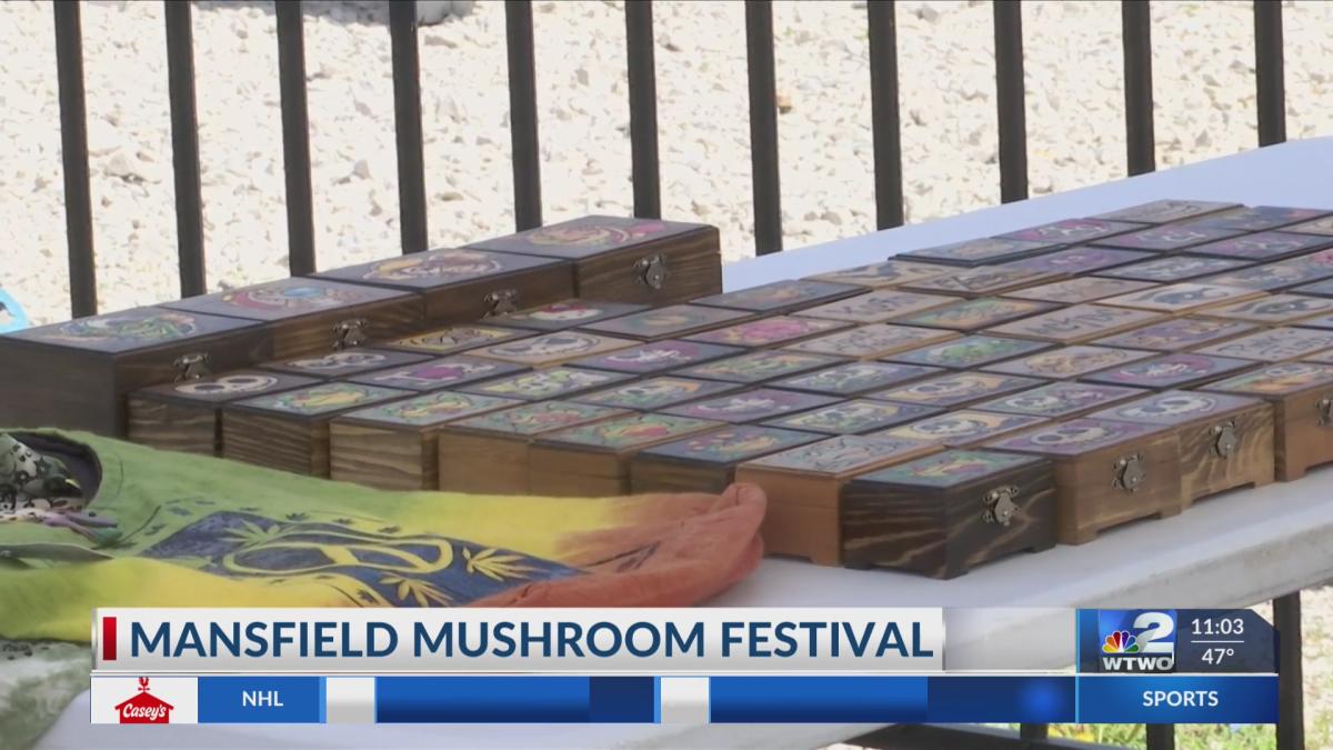 Mansfield Mushroom Festival returns for 35th year