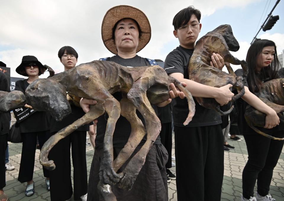 South Korean animal rights activists hold likenesses of dead dogs during a protest against the dog meat trade (AFP/Getty Images)