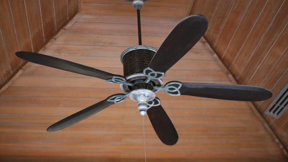 FAN, ceiling fan, electric fan