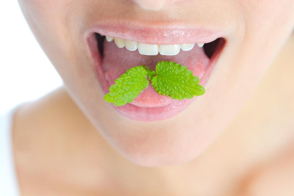 Eine temporäre Lösung gegen Mundgeruch ist sicherlich, einen Kräuterbonbon zu lutschen. Gesünder ist allerdings, wenn Sie auf einigen Blättern Pfefferminze herumkauen. Denselben Effekt haben übrigens auch Gewürznelken und Petersilie. In den Kräutern sind ätherische Öle und Chlorophyll enthalten, beides wirkt geruchsbindend. (Bild: iStock / mabe123)