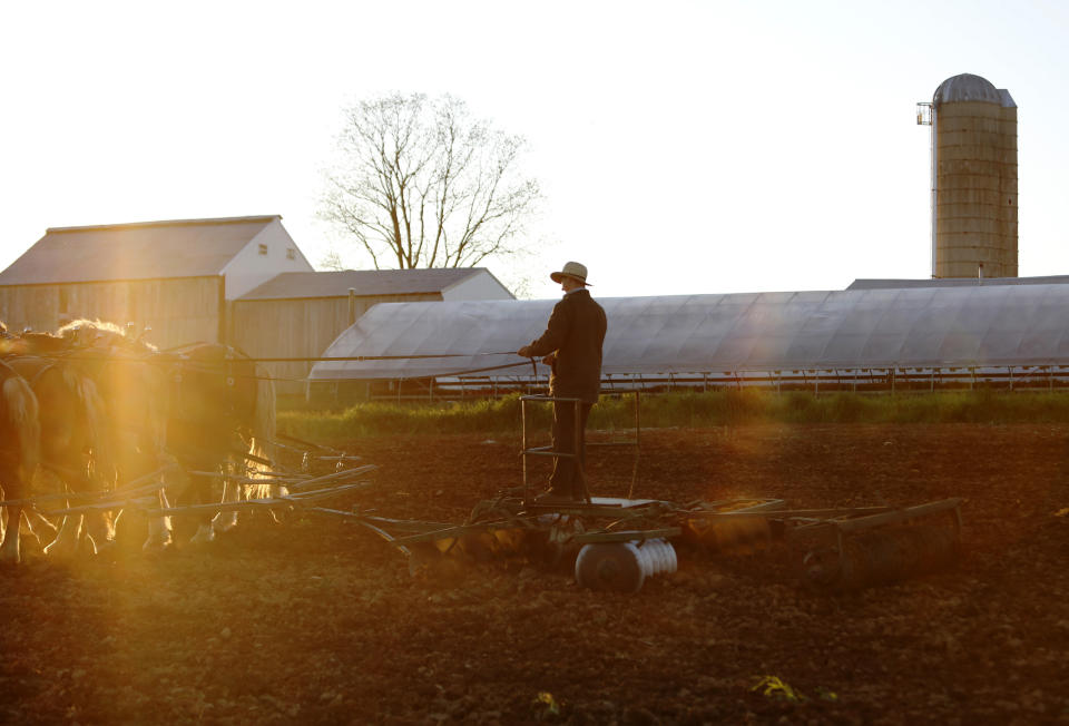 As the sun sets, James, 20, plows a field on his family's farm, Monday, May 4, 2020, in Ephrata, Pa. James and his family are members of the Old Order Stauffer Mennonite Church. They believe in pacifism, reject child baptisms and live plainly, eschewing modern technology. (AP Photo/Jessie Wardarski)