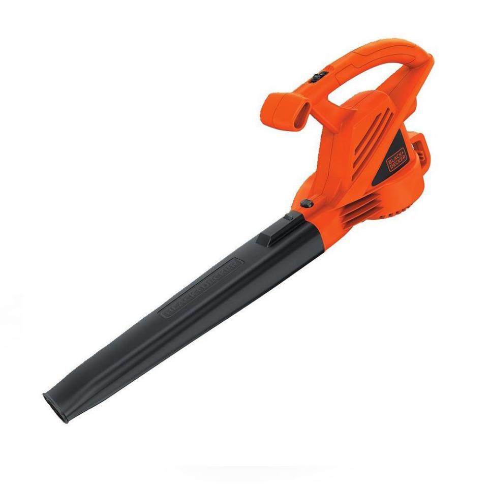 19) Electric Leaf Blower