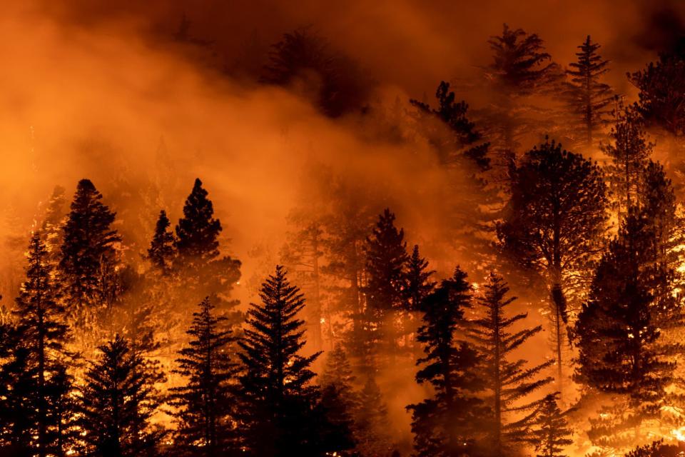 Des incendies ravagent une forêt à Monrovia, en Californie, le 11 septembre 2020. - DAVID MCNEW / GETTY IMAGES NORTH AMERICA / Getty Images via AFP