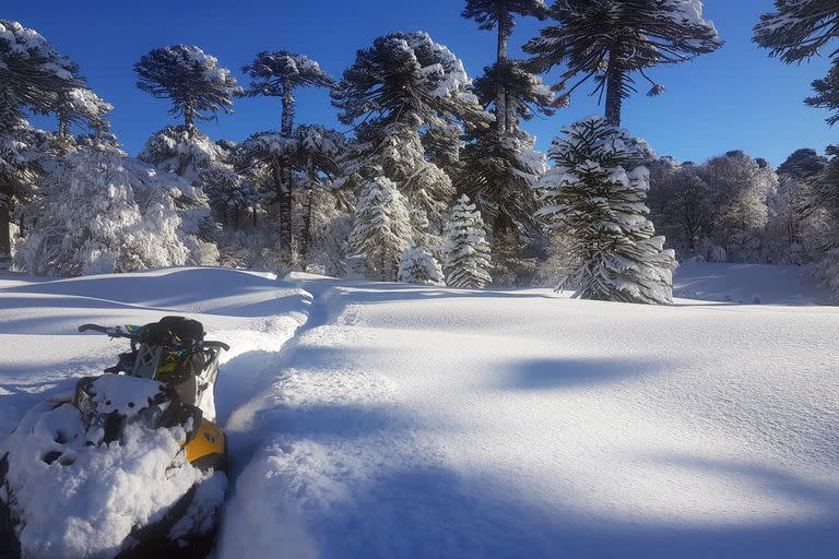 En fotos: subir al volcán Copahue en moto de nieve, una experiencia inolvidable