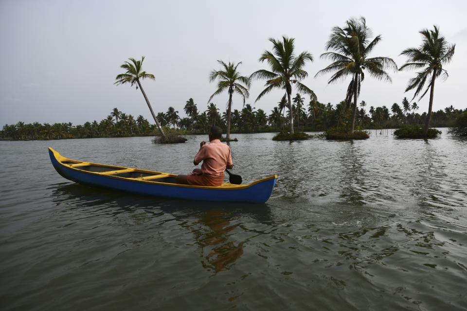 M.M. Chandu, 78, heads in the evening toward his water surrounded farmland in Chellanam village, a suburb of Kochi, southern Kerala state, India, March 24, 2023. Chandu says he has been personally guarding his little over two acres of farmland every night for the past 22 years. (AP Photo/R S Iyer)