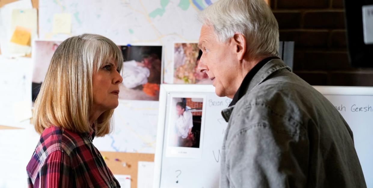 pam dawber, mark harmon, ncis