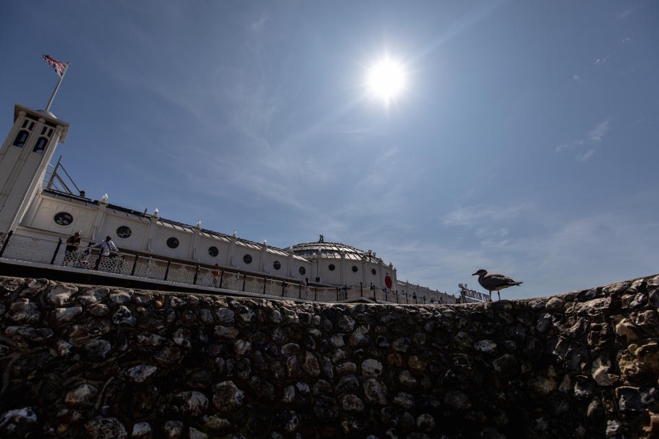 A seagull next to Brighton Palace Pier (Picture: PA)