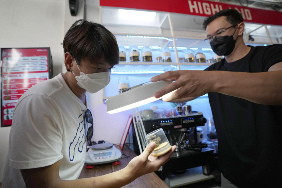 A customer views samples of marijuana before making a purchase at the Highland Cafe in Bangkok, Thailand, Thursday, June 9, 2022. Measures to legalize cannabis became effective Thursday, paving the way for medical and personal use of all parts of cannabis plants, including flowers and seeds. (AP Photo/Sakchai Lalit)