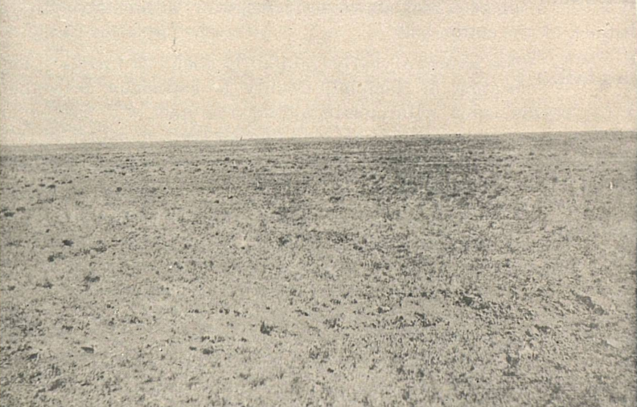 Land promotionals showcase the Great Plains prairie in the early 1900s in an attempt to sell the land to farmers and ranchers.