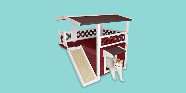 Insulated heated outdoor cat clearance house