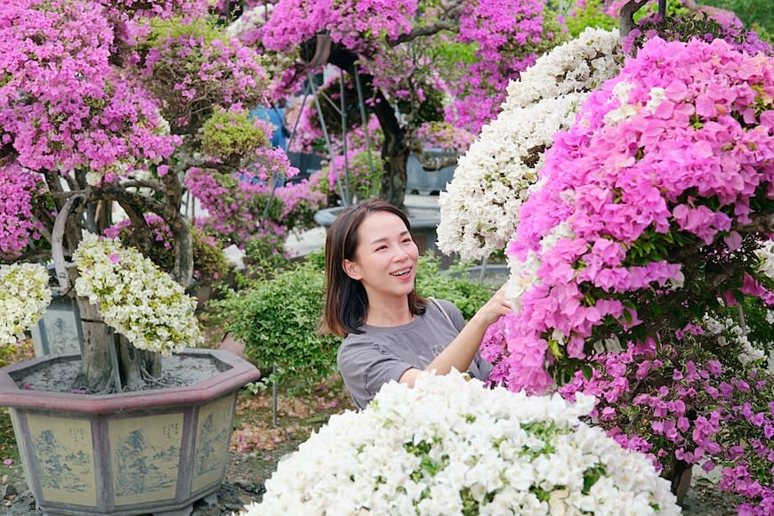 彰化田尾一日遊