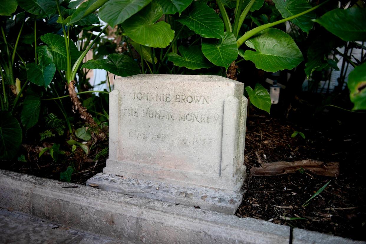 The grave of Johnnie Brown, the pet spider monkey of Addison Mizner. The so-called "human monkey" has been a tourist attraction in Palm Beach since 1927, and can be spotted on historical walking tours of Worth Avenue.