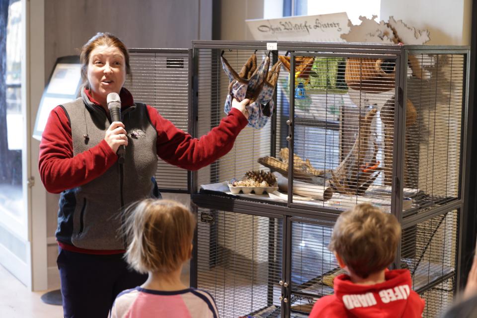 Amanda Perry, an education programmer for Stark Parks, shows off one of the agency's mammal cages at the Stark Parks Wildlife Conservation Center in Perry Township during a March Madness Mammal event.