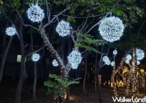 新莊耶誕燈節 ｜Xinzhuang Christmas Lights Festival (Courtesy of 鄭雅之/Taipei Walker)