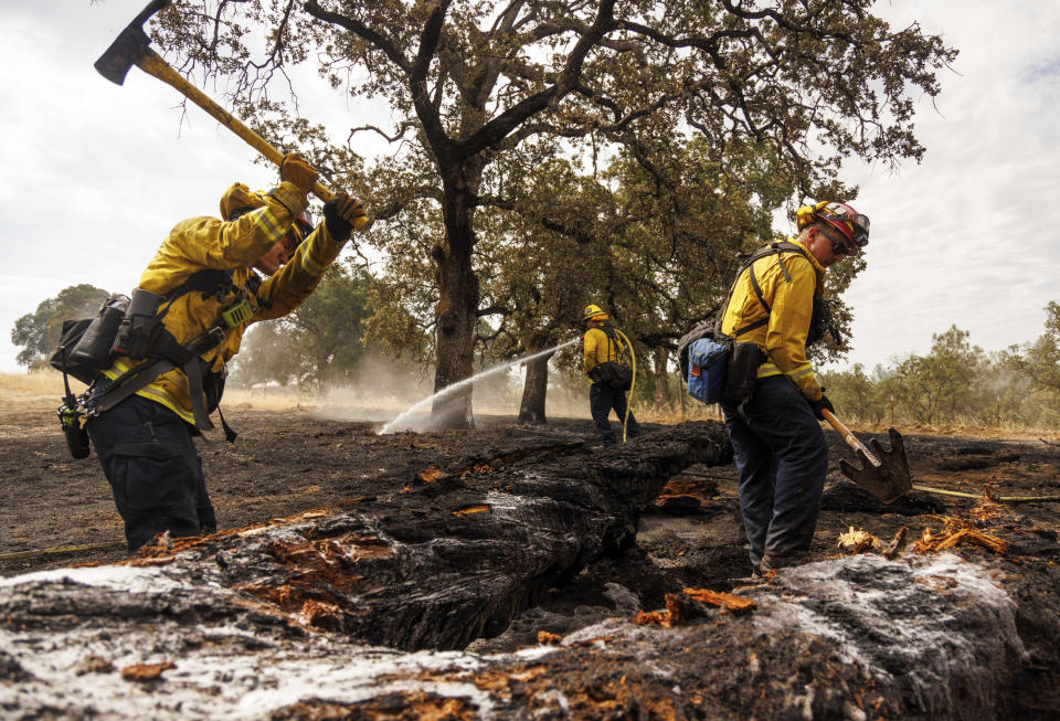 Firefighters mop up as the Apache Fire burns in Palermo, Calif., on Tuesday, Jun. 25, 2024. According to Cal Fire, more than a dozen new fires sparked by lightning. (AP Photo/Ethan Swope)