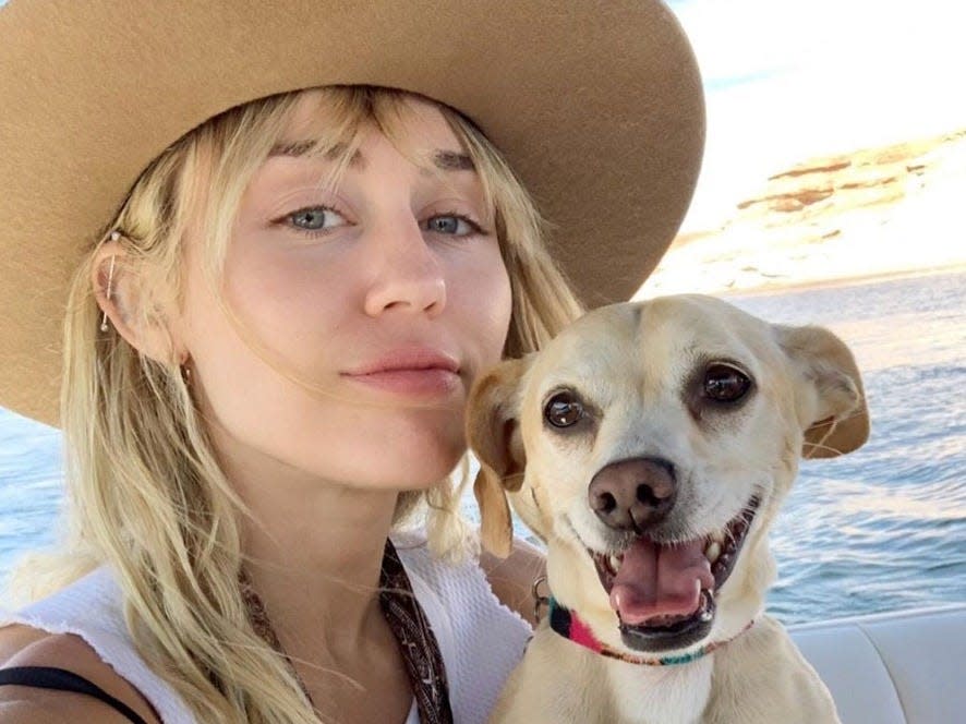 miley cyrus with dog