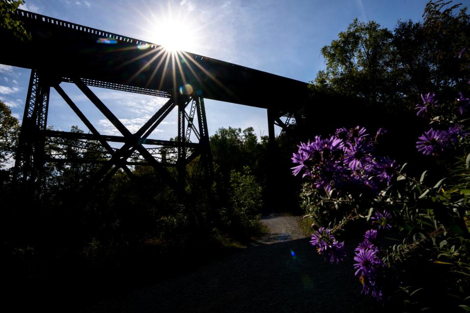 Cincinnati Southern Railway tracks run along the western edge of Covington's Devou Park. Above, an elevated portion of CSR track looms over the entrance to park trails.