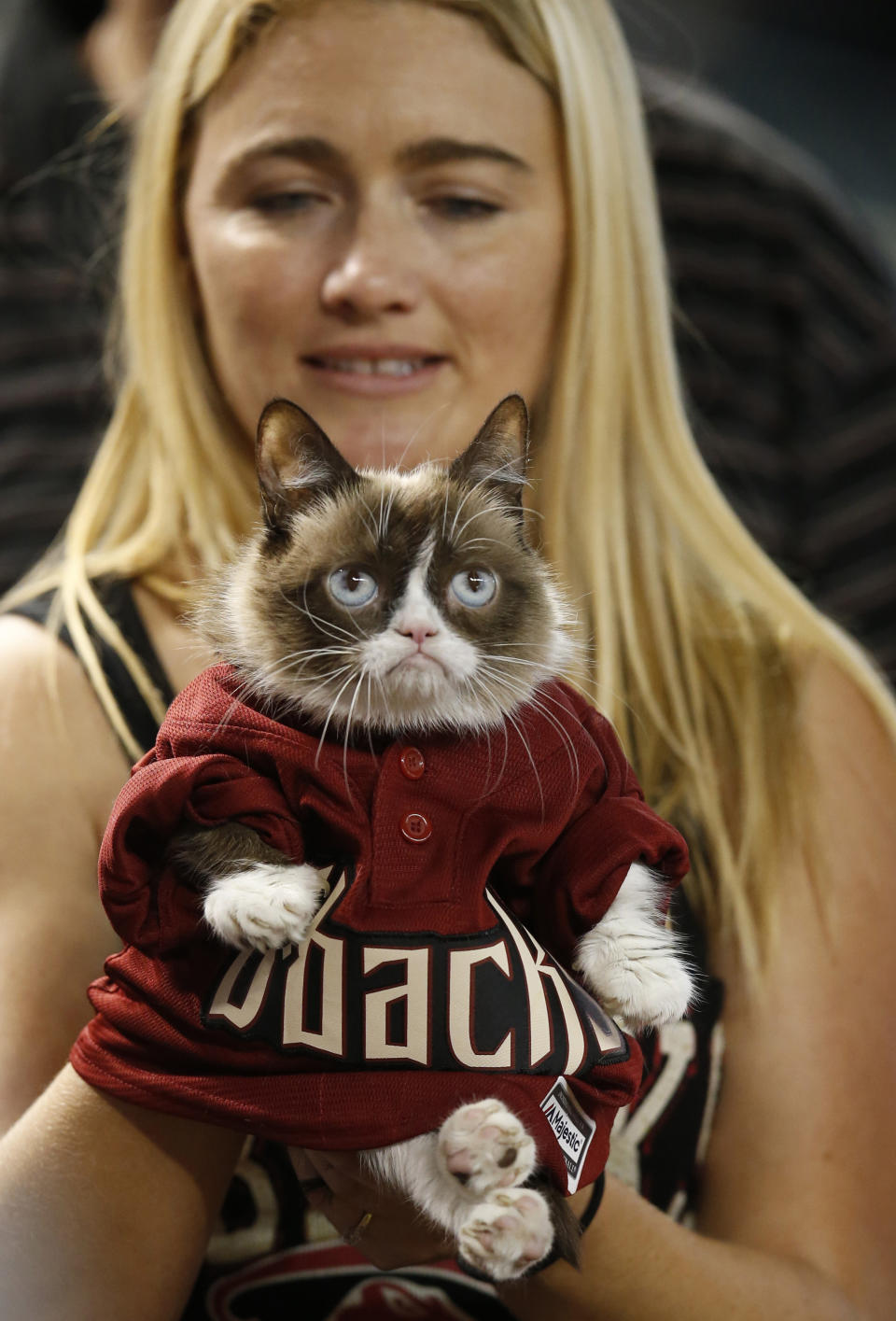 Owner Tabatha Bundesen holds Grumpy Cat, an Internet celebrity cat whose real name is Tardar Sauce, before a baseball game between the Arizona Diamondbacks and the San Francisco Giants, Monday, Sept. 7, 2015, in Phoenix. (AP Photo/Rick Scuteri)