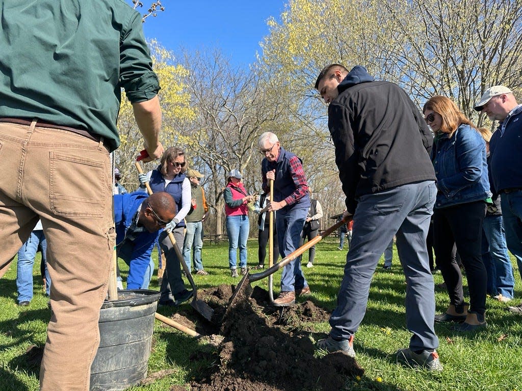 Gov. Tony Evers, joined by Lt. Gov. Sara Rodriguez and other cabinet members and state employees, plants a tree at Governor Nelson State Park on Earth Day 2024.