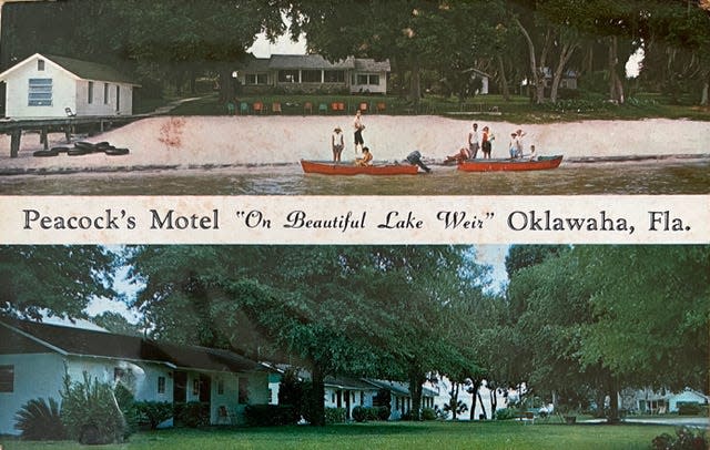 A postcard from  the Peacock's Motel in Oklawaha, Florida.