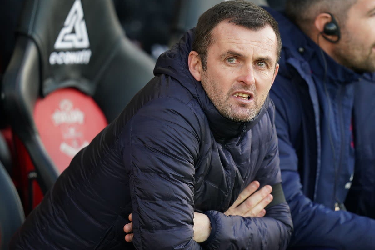 Nathan Jones has suffered successive Premier League defeats since being appointed Southampton manager (Adam Davy/PA) (PA Wire)