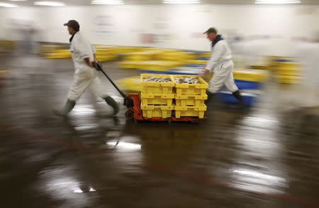 Workers move boxes of fish at the fish market in Grimsby, Britain November 17, 2015. REUTERS/Phil Noble
