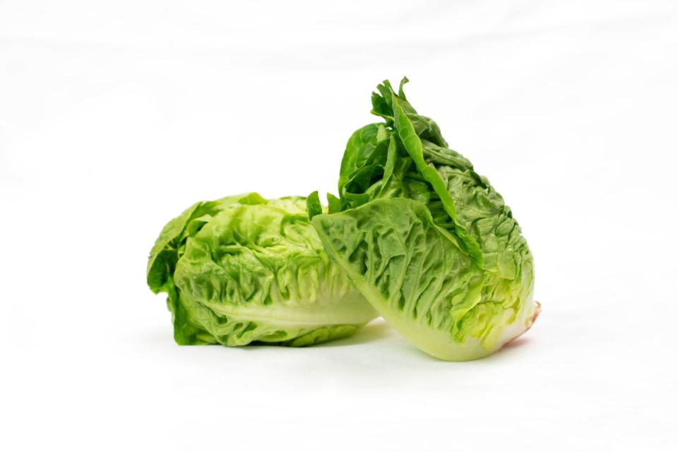 two 2 freshly harvested little gem lettuce on a white background close up