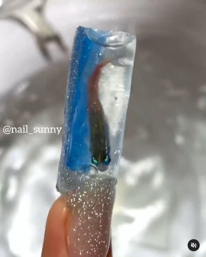 俄羅斯美甲店「Nail Sunny」，用活生生的小魚製作假指甲，並命名為「The aquarium」。