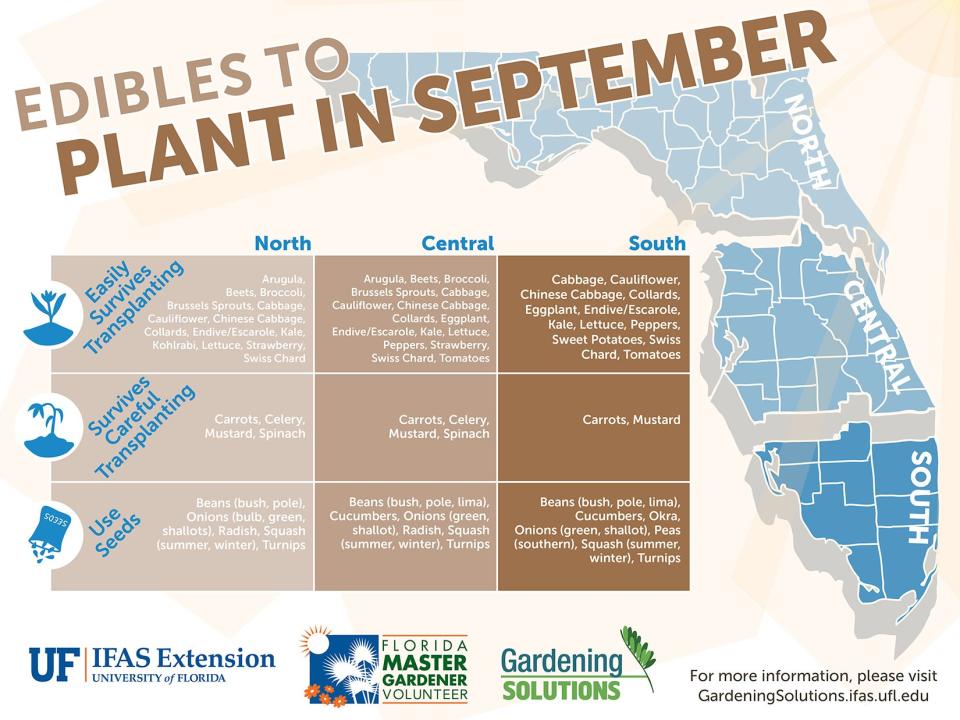 These fruits and vegetables will be ready to eat later if planted in September.