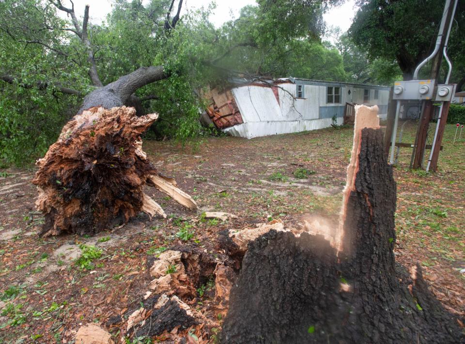 A fallen rests on top of a home in the Circle Drive Mobile Home Park as a storm passes through the Pensacola area on April 10, 2024.