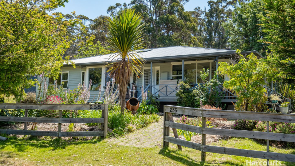 Falls Festival Marion Bay sale