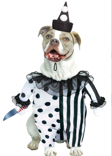 Evil Clown Dog Halloween Costume