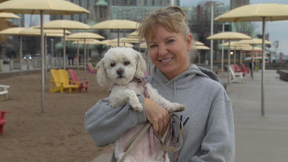 Though higher temperatures are good for her dogs, Toronto local Natalya Telenchenko says the mild winter this year has been a little concerning.
