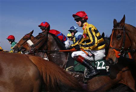 Horses and riders take off at the start of The Handicap Hurdle Race at the Cheltenham Festival horse racing meet in Gloucestershire, western England March 14, 2014. REUTERS/Eddie Keogh