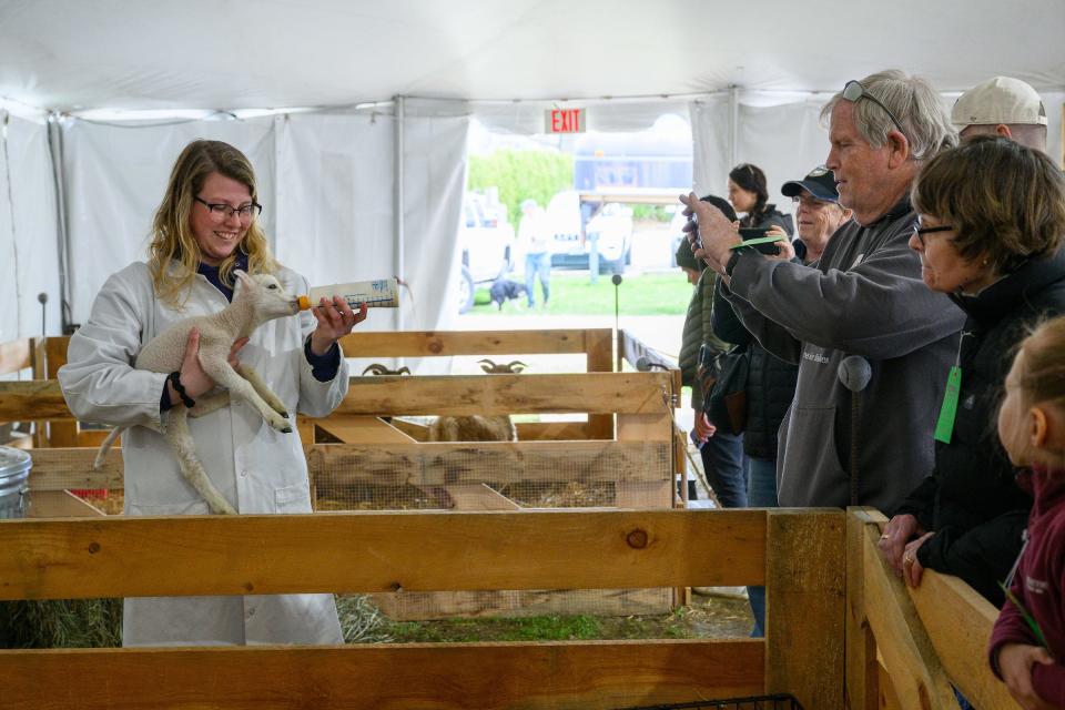 Strawbery Banke announces the return of Baby Animals: Heritage Breeds at the Banke, its signature spring event showcasing heritage-breed barnyard animals.