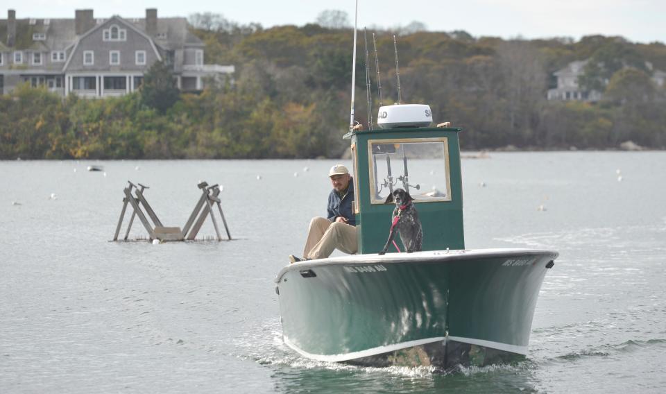 Ken Baughman, with his dog Lucyyy, motor into the dock on Nov. 1 at Quissett Harbor in Falmouth. Baughman is two years into his attempt to make a living as a commercial rod and reel fisherman.