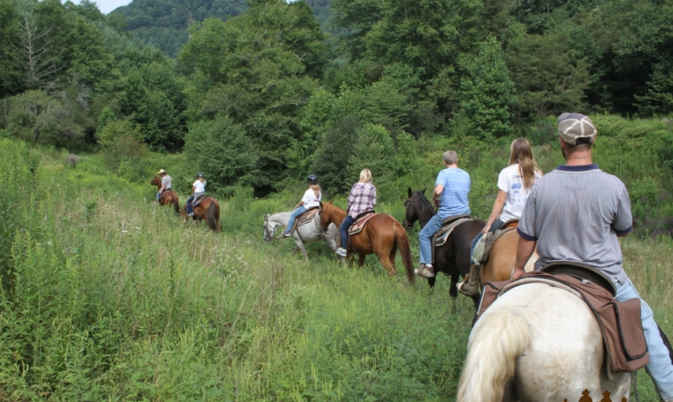 Dutch Creek Trails offers guided horseback riding tours in Sugar Grove, NC.