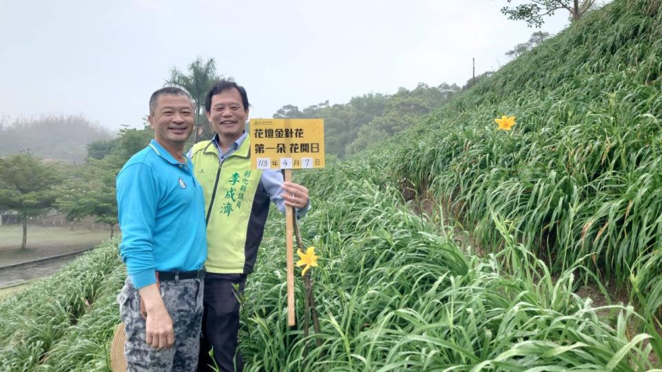 ▲虎山巖第1朵金針花何時開？花迷趕往虎山巖金針花園區，搶先拍下今年第1朵金針花開出金黃色花卉，今年還是一次開出2朵「姐妹花」，花迷直呼驚喜。（民眾提供）