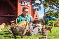 <p>Keoni Vaughn, the Executive Director of the Lanai Cat Sanctuary sits whilst being innundated by cats below a Love sign at the haven of kittys. (Photo: Andrew Marttila/Caters News) </p>