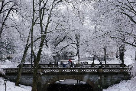 A horse carriage crosses a bridge in Manhattan's Central Park during a snowfall in New York City, February 5, 2016. REUTERS/Rickey Rogers