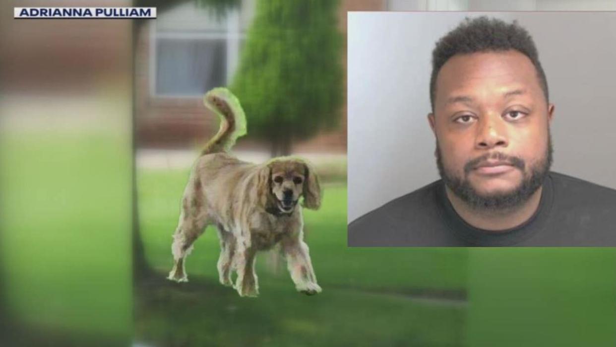 <div>Buddy the cocker spaniel, shooting suspect Andrae Jones.</div>