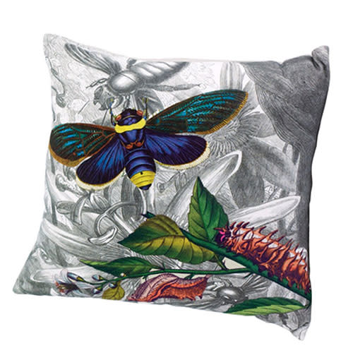 <b>Bontanica moth & bugs</b><br><br>Botanic prints are everywhere this season. For an edgy take on the floral trend, opt for a bright moth or bug print cushion. With their hyper-real vivid colours, these stunning prints are sure to add drama to any sofa. <br><br> <b>£29.95, <a href="http://dwell.co.uk/111674/Botanica-moth-cushion/" rel="nofollow noopener" target="_blank" data-ylk="slk:Dwell;elm:context_link;itc:0;sec:content-canvas" class="link ">Dwell</a> </b>