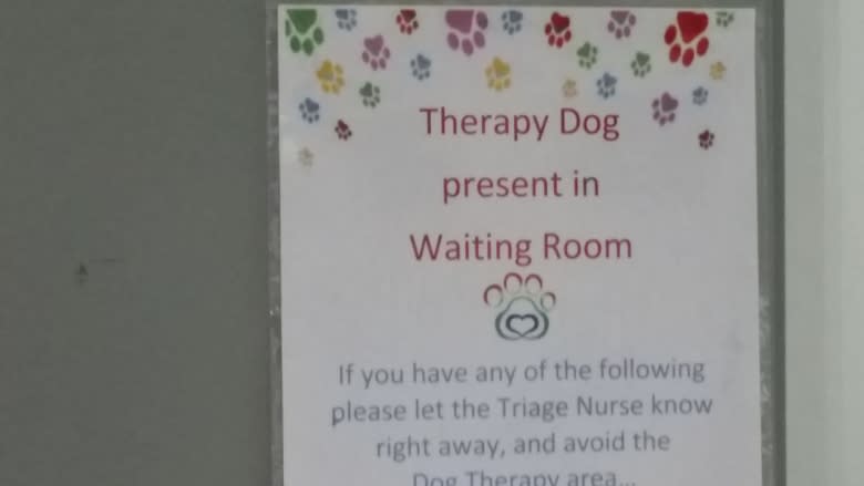 'The whole waiting room calmed down:' Therapy dogs approved for Charlottetown ER