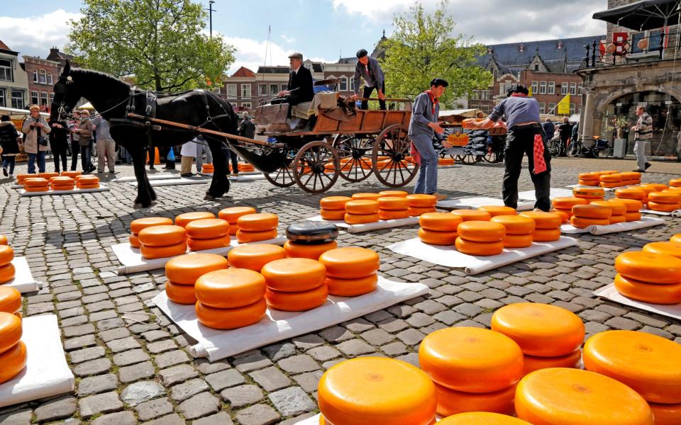 Gouda cheese market